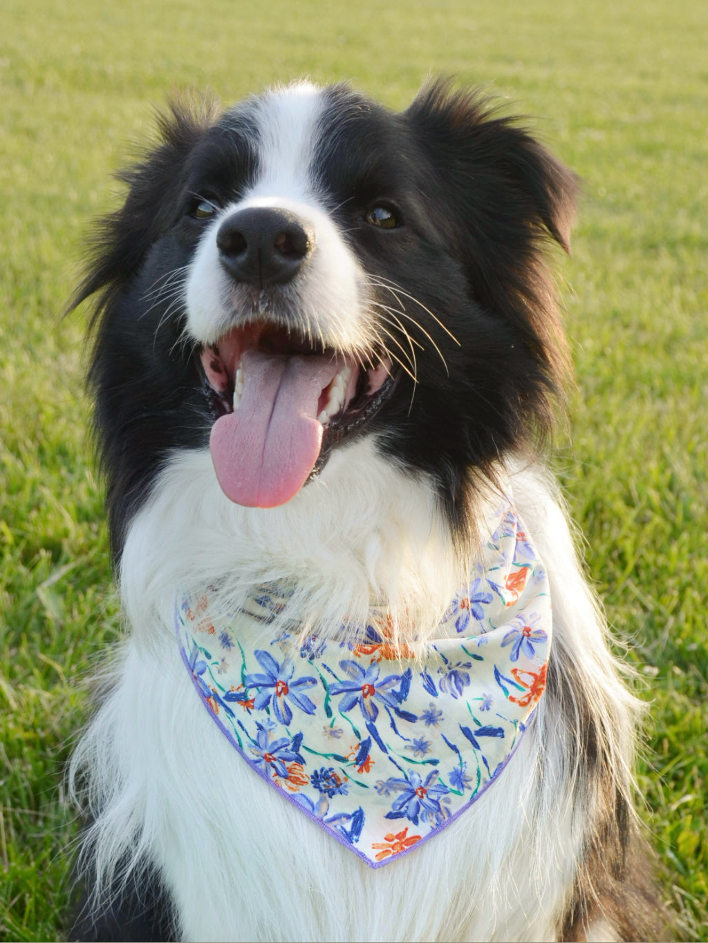 Garden Gala Bandana