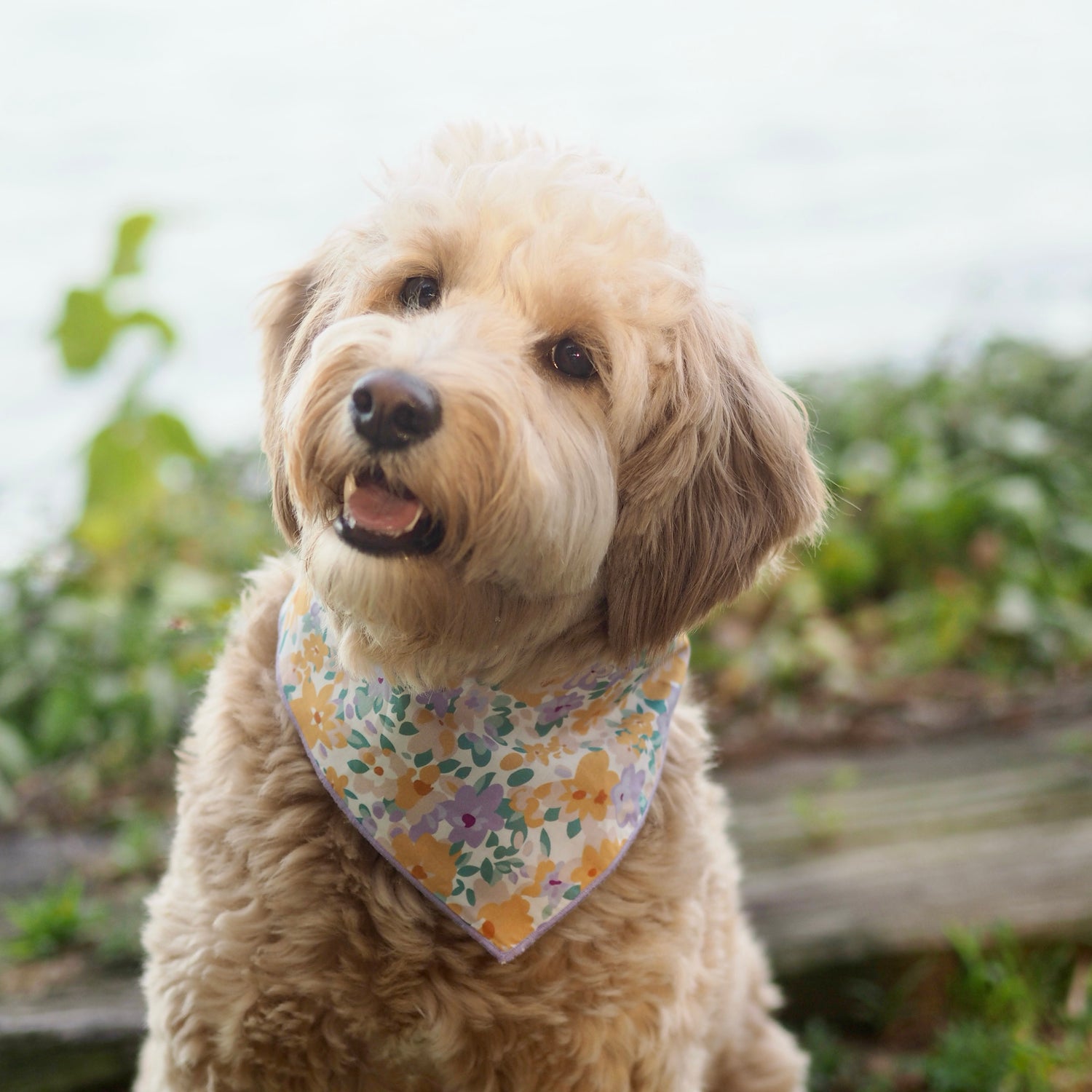 Bandanas