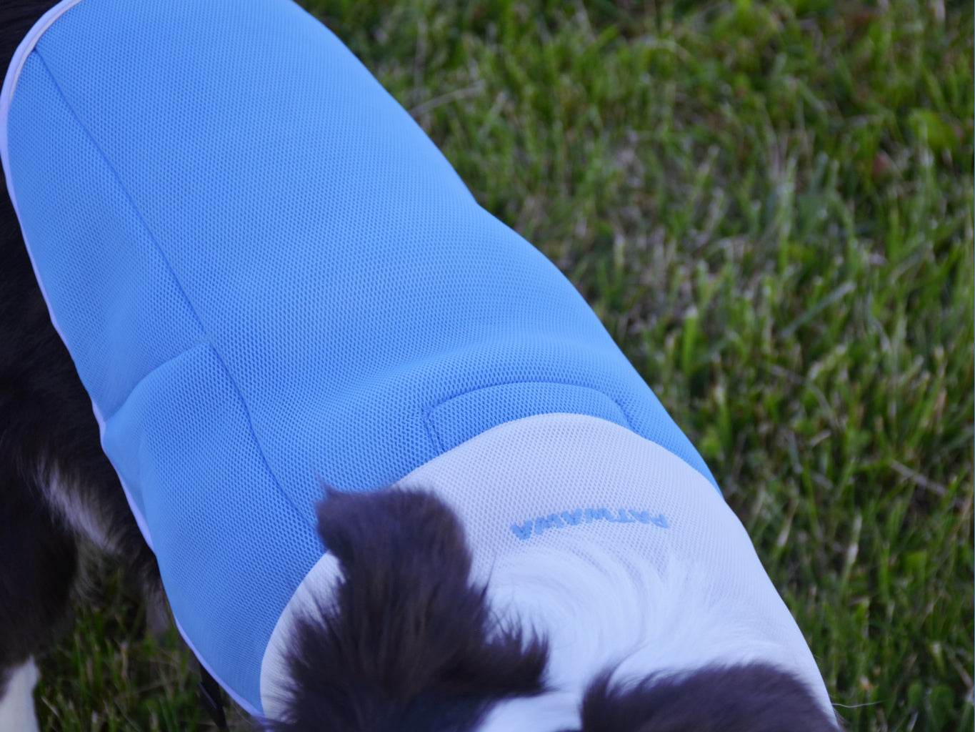 ChillPaw Cooling Vest