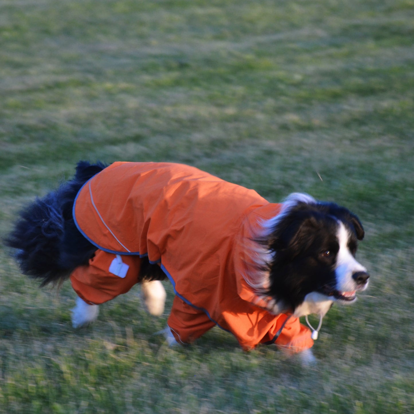 BrightGuard Duo Raincoat