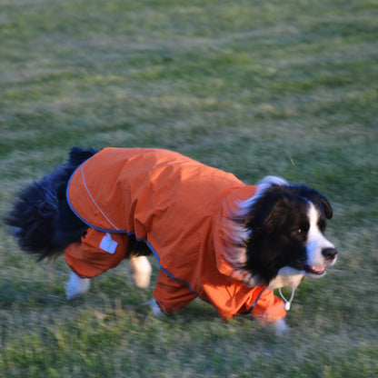 BrightGuard Duo Raincoat