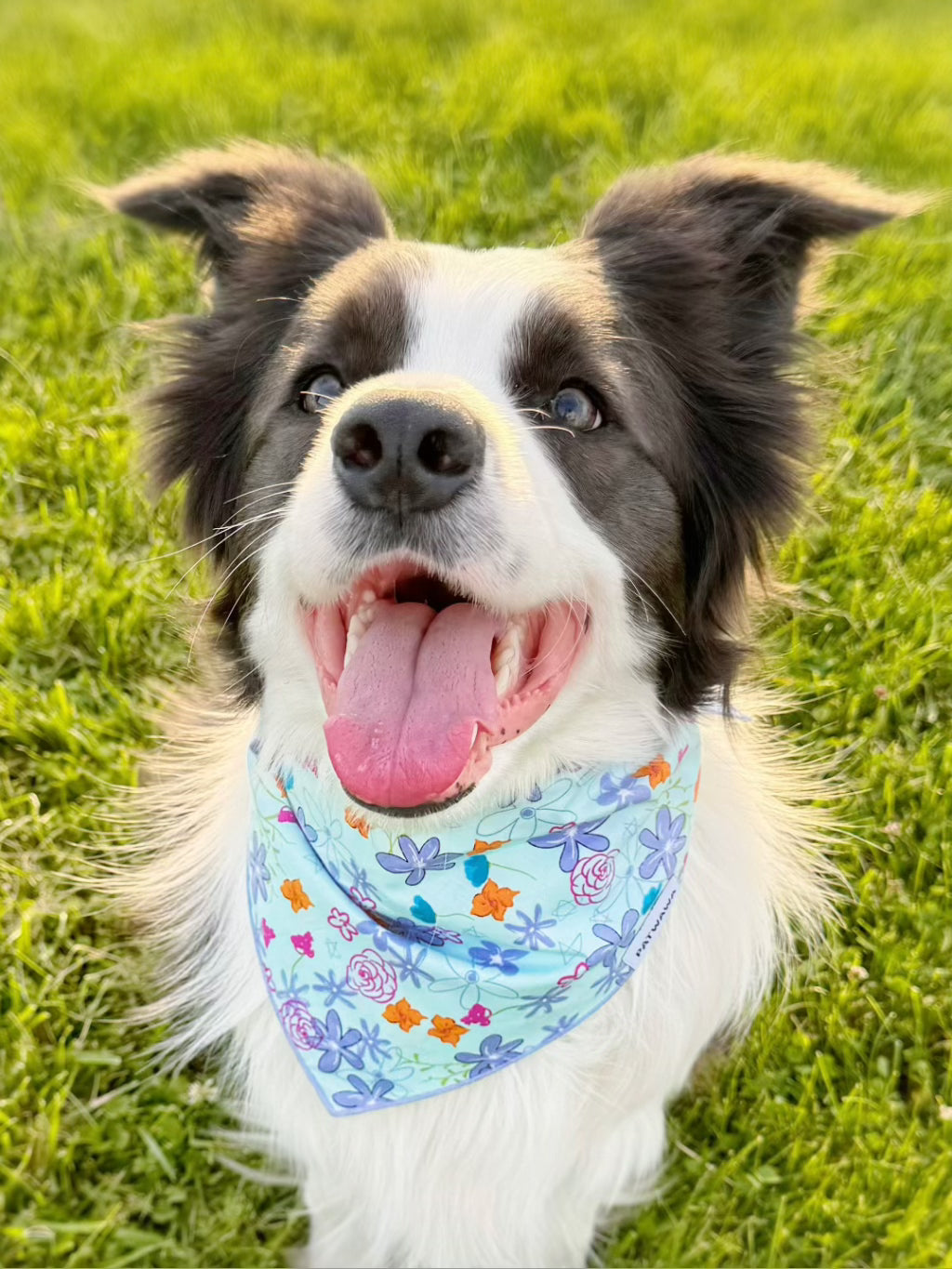 Meadow Whisper Bandana