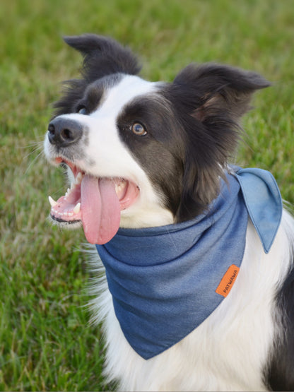 Twilight Denim Duo Bandana