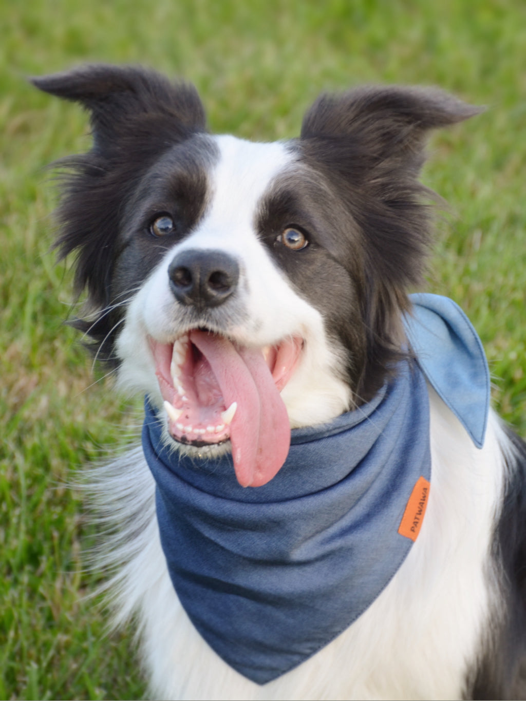 Twilight Denim Duo Bandana