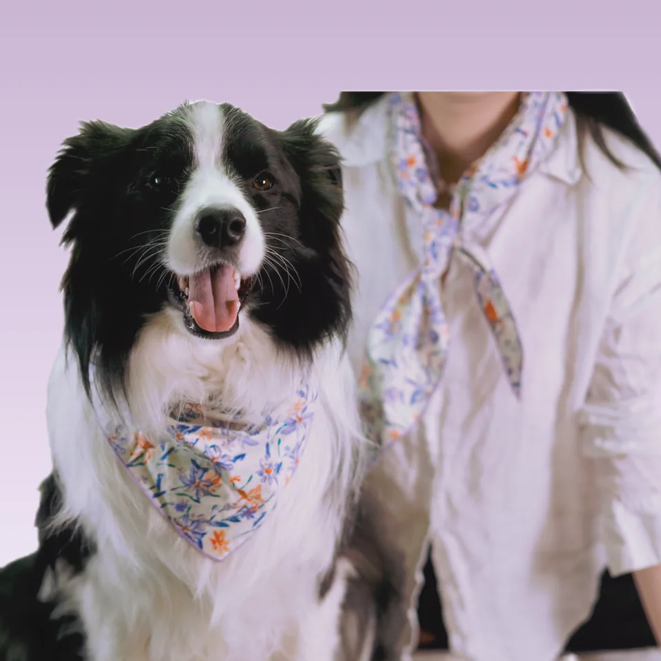 Owner's Beloved Bandana, photo 9 of 9