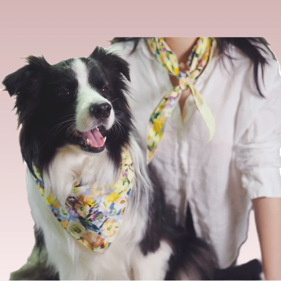 Owner's Beloved Bandana, photo 8 of 9