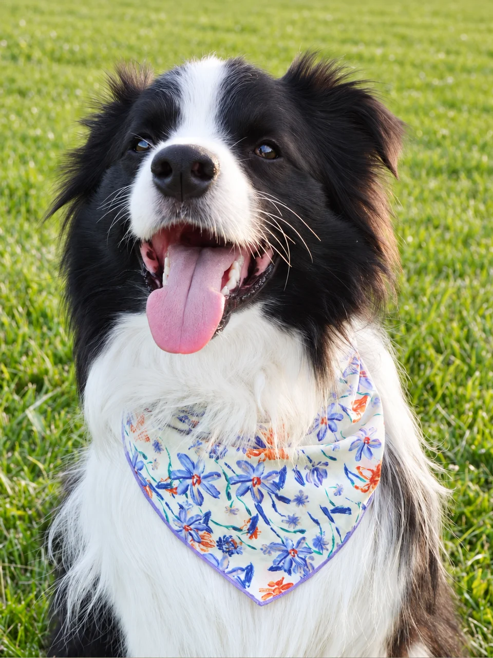 Garden Gala Bandana, photo 5 of 5