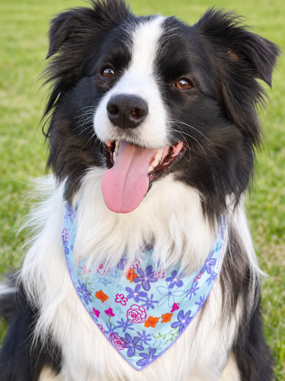 Meadow Whisper Bandana, photo 4 of 4
