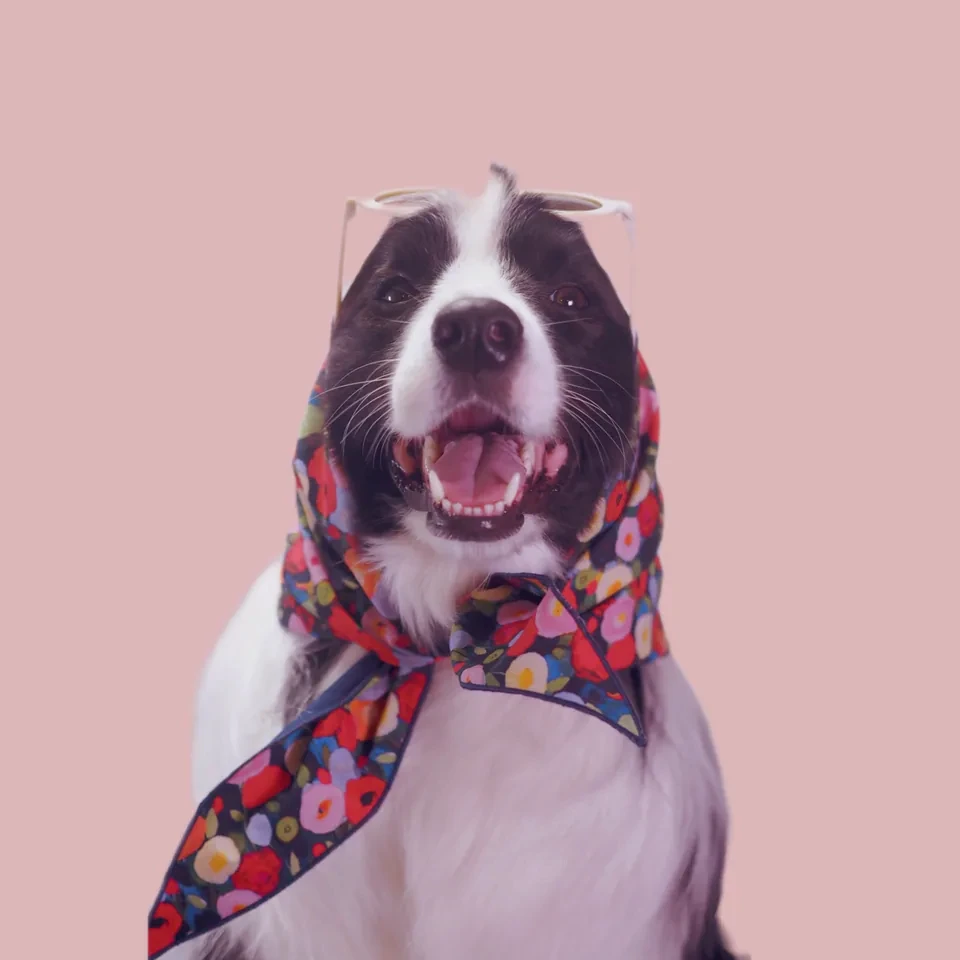 Party Bloom Bandana, photo 4 of 5